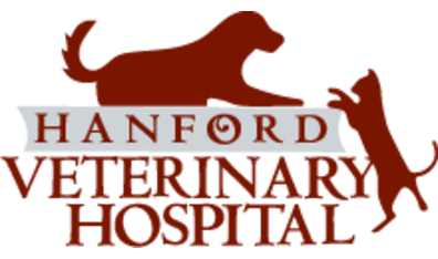 Hanford Veterinary Hospital-HeaderLogo